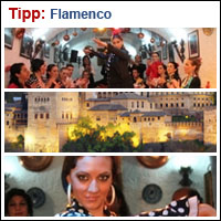 Shows & Konzerte: Flamenco