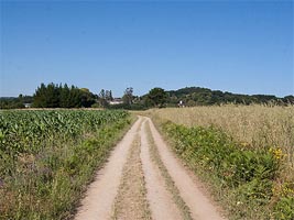 El Camino de Santiago