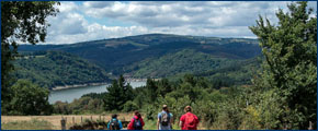 El Camino de Santiago