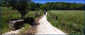 El Camino de Santiago